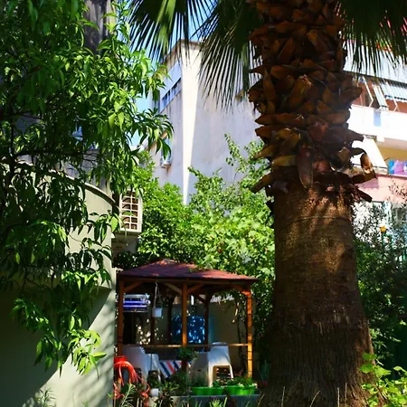 Angelx Appartement