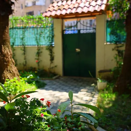 Angelx Tirana